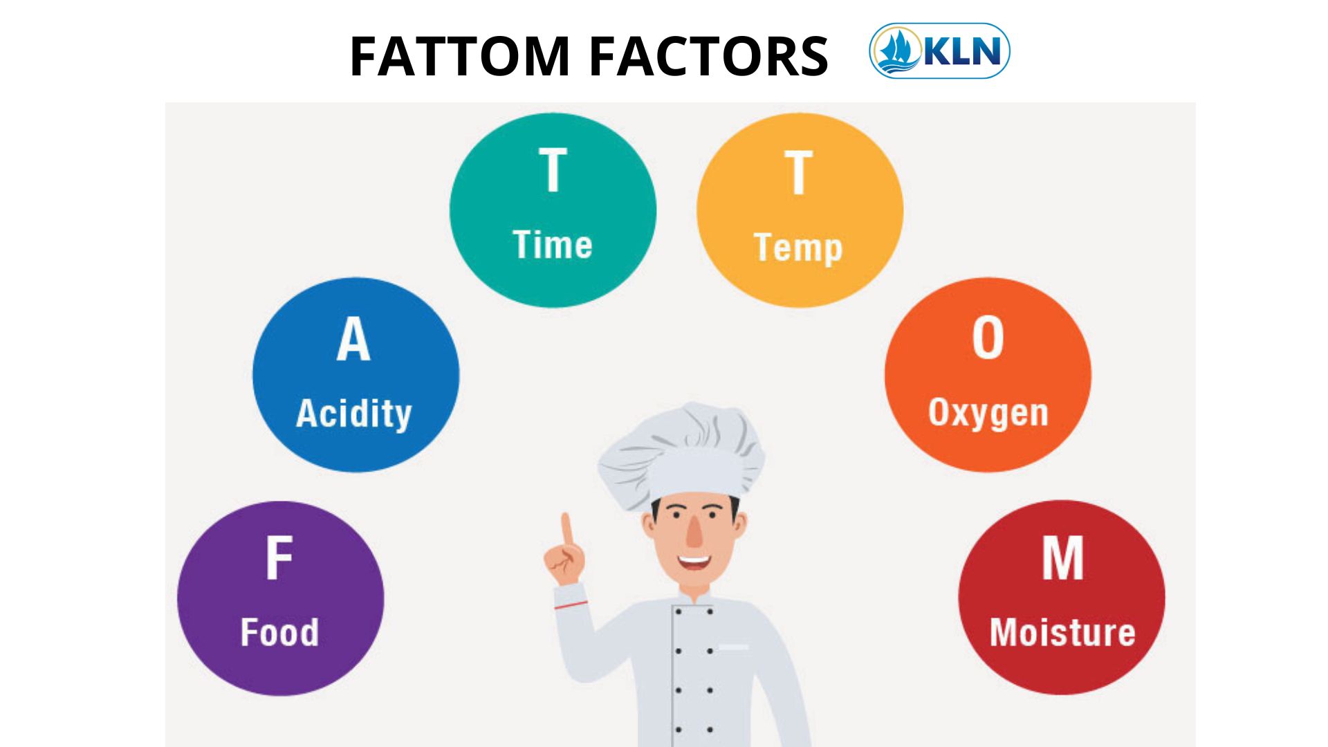 FATTOM FACTORS